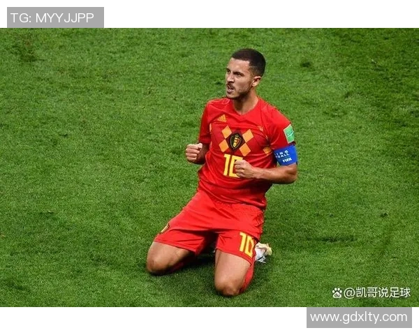 比利时足球历史传奇球星回顾与成就分析
